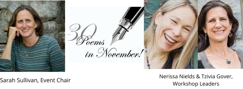 Write 30 Poems in November